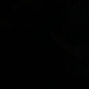 Meet your Posher, Patty